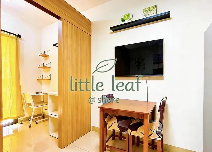 Little Leaf Manila
